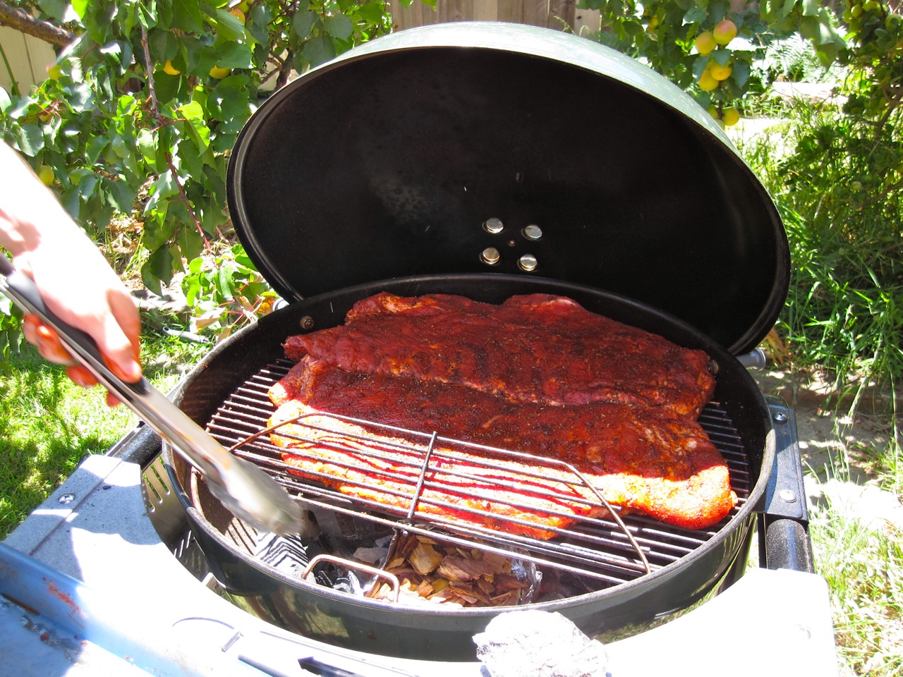 ribs on the grill