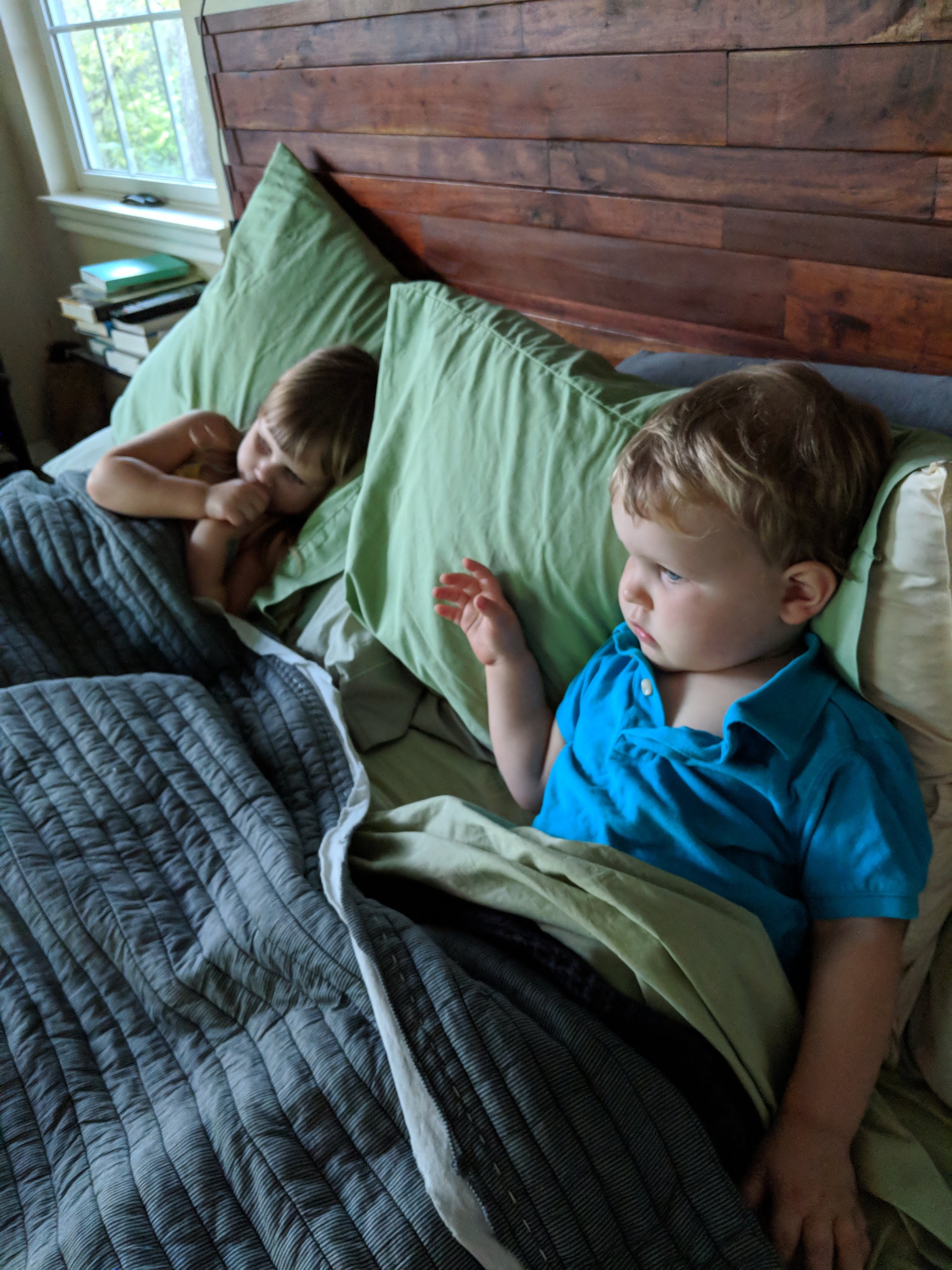 Taking a bit of Daniel Tiger break. Annie claimed she was cold so I tucked them in.