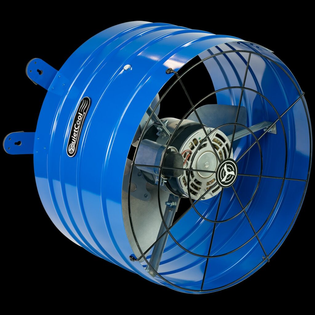 The fan itself